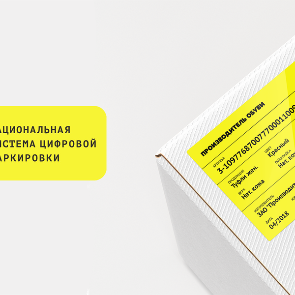 Внедрение национальной системы цифровой маркировки товаров: чего ждать?